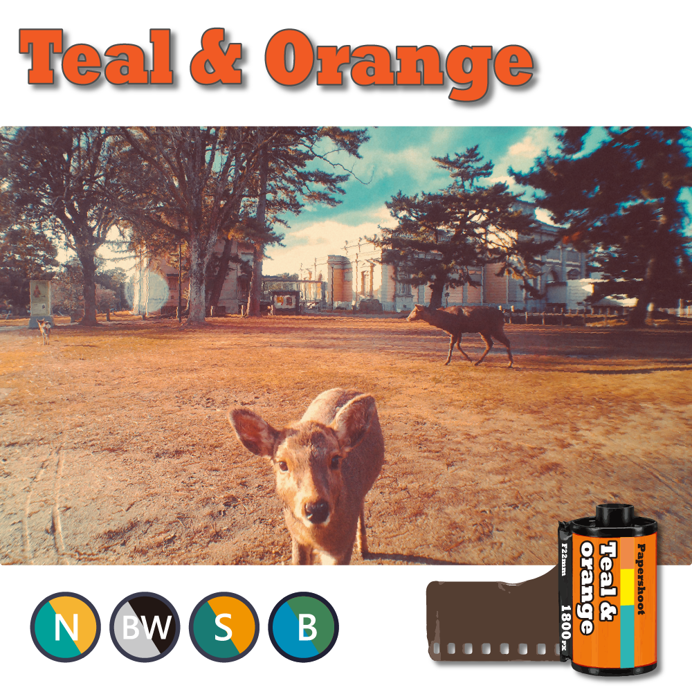 Filter Card Set - 16 Filter Effects