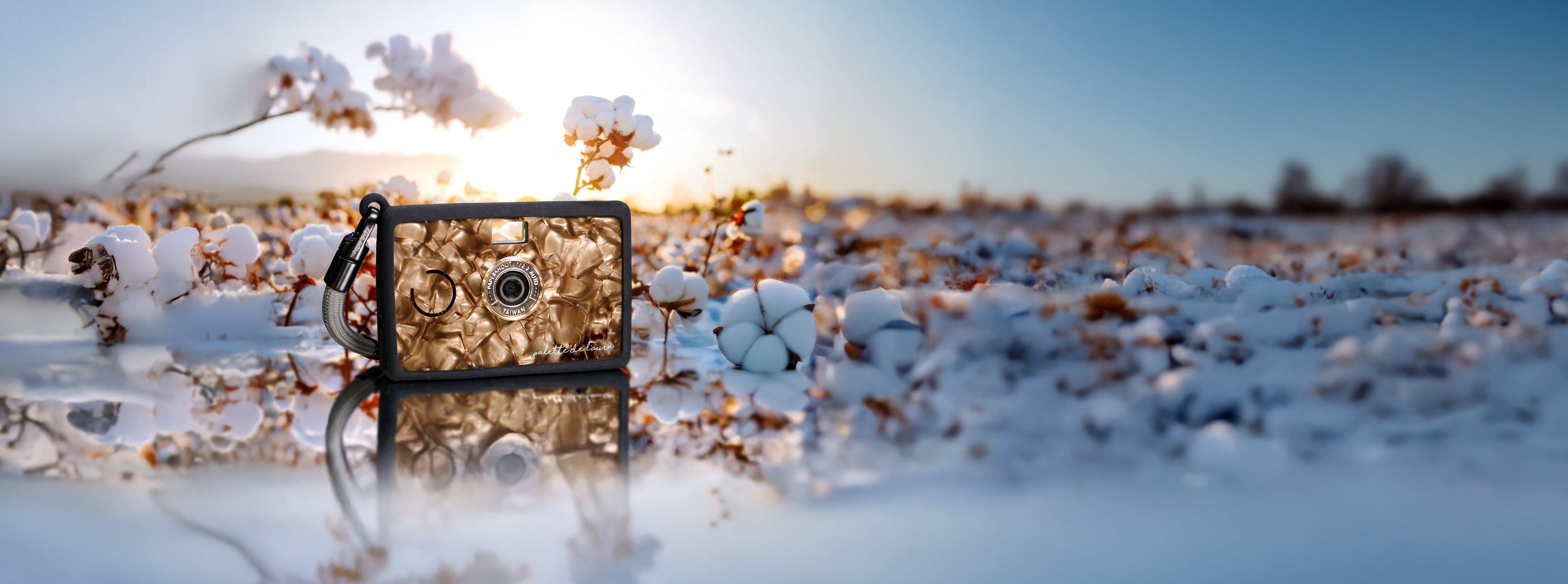 Aura Palette Collection